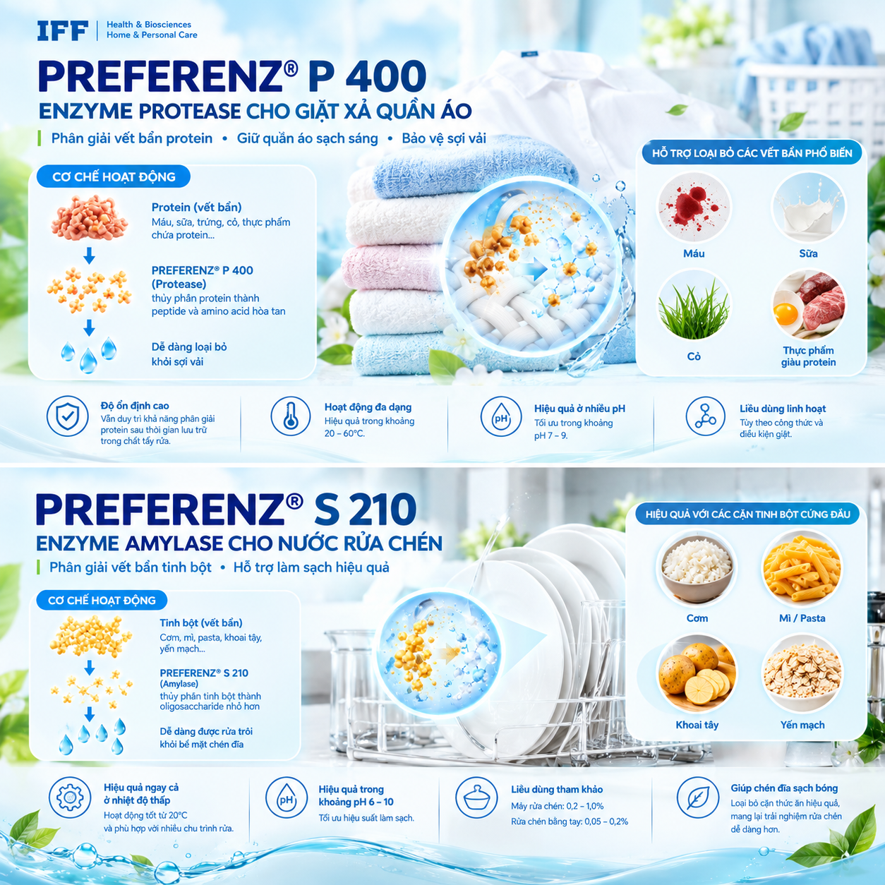 Enzyme Protease P400/2000-Enzyme cho nước giặt xả